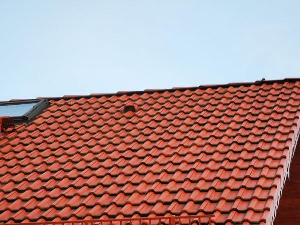 na-polach-121-17