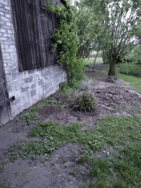 słoneczna 1 teren za budynkiem